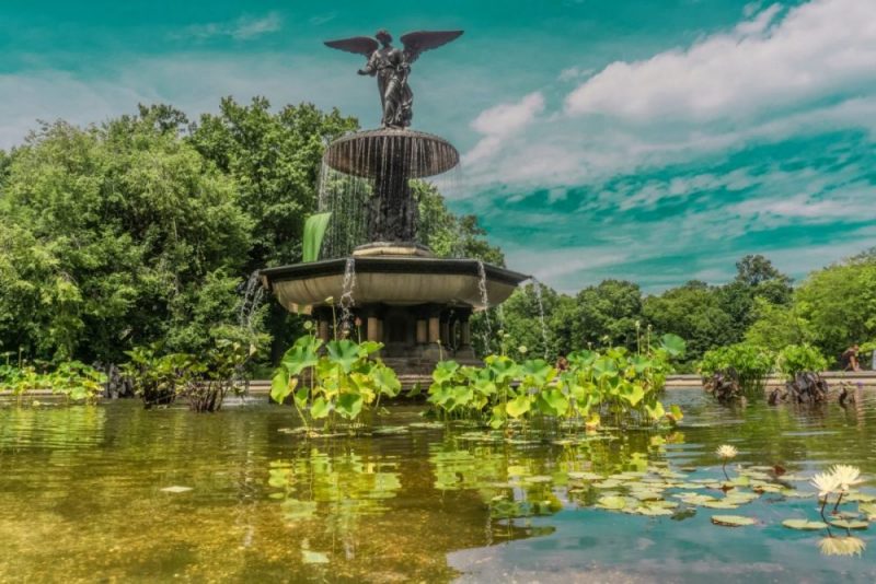 6 things to do in Central Park, NYC