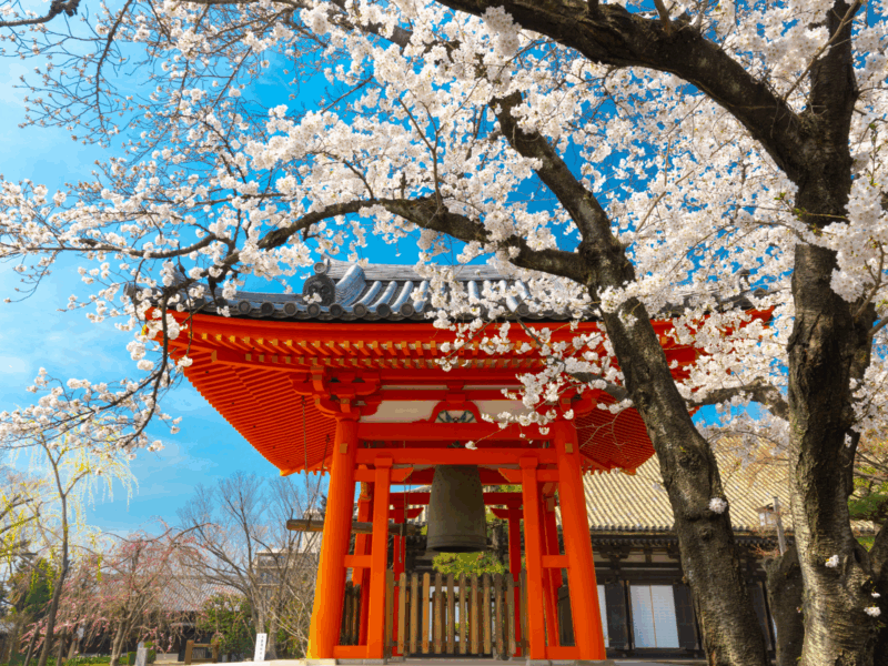 Start a New Life in Japan Through Teaching